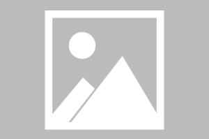 彩金最高平台-皇马对皇家社会直播